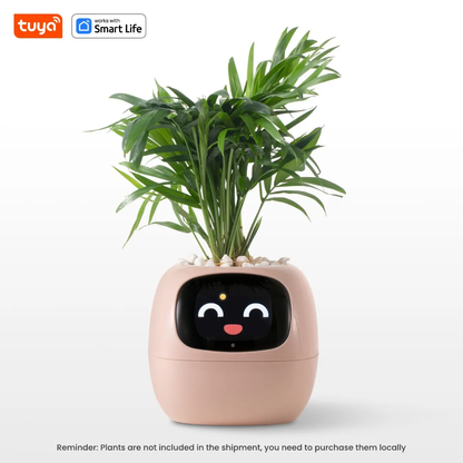 Smart Flower Pot