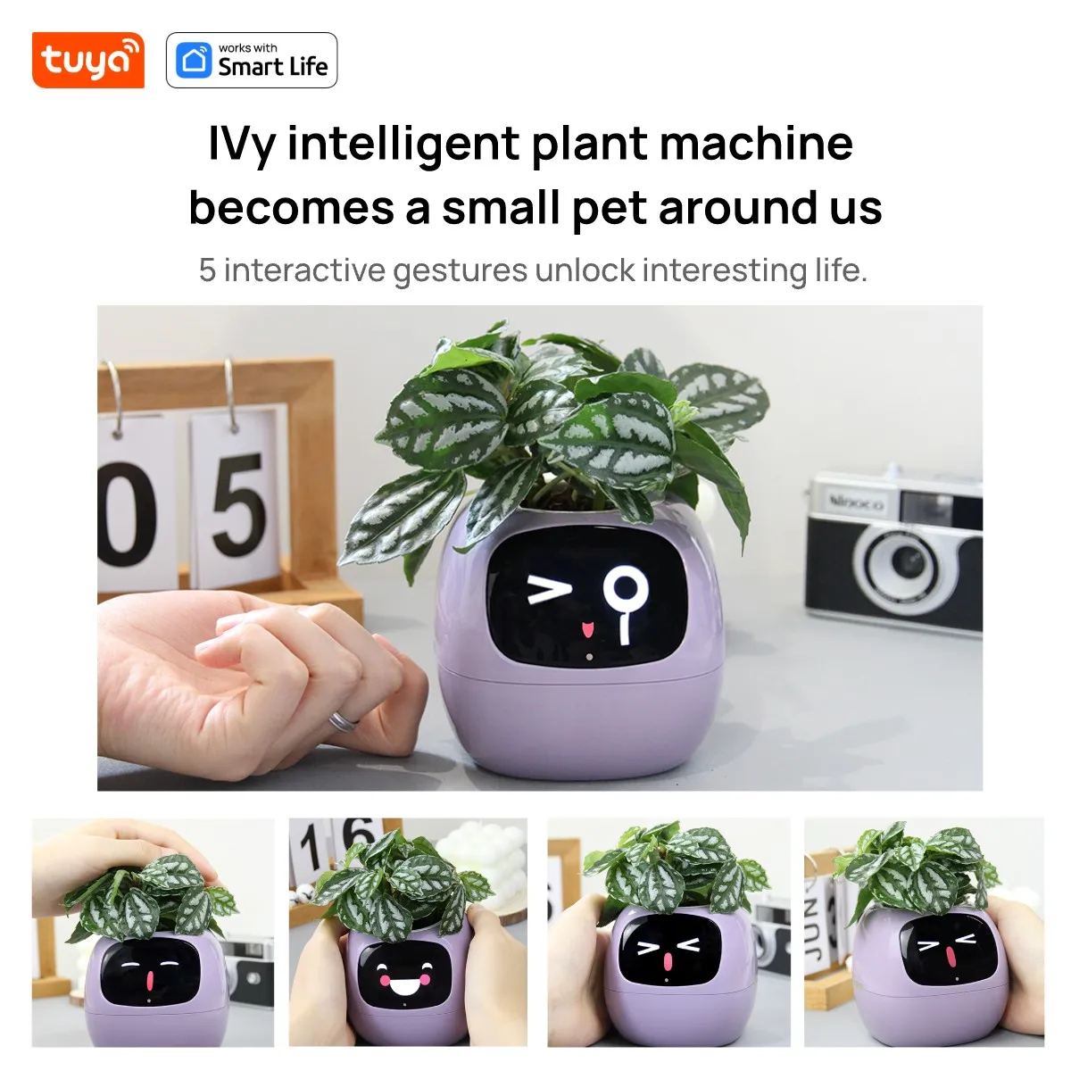 Smart Flower Pot