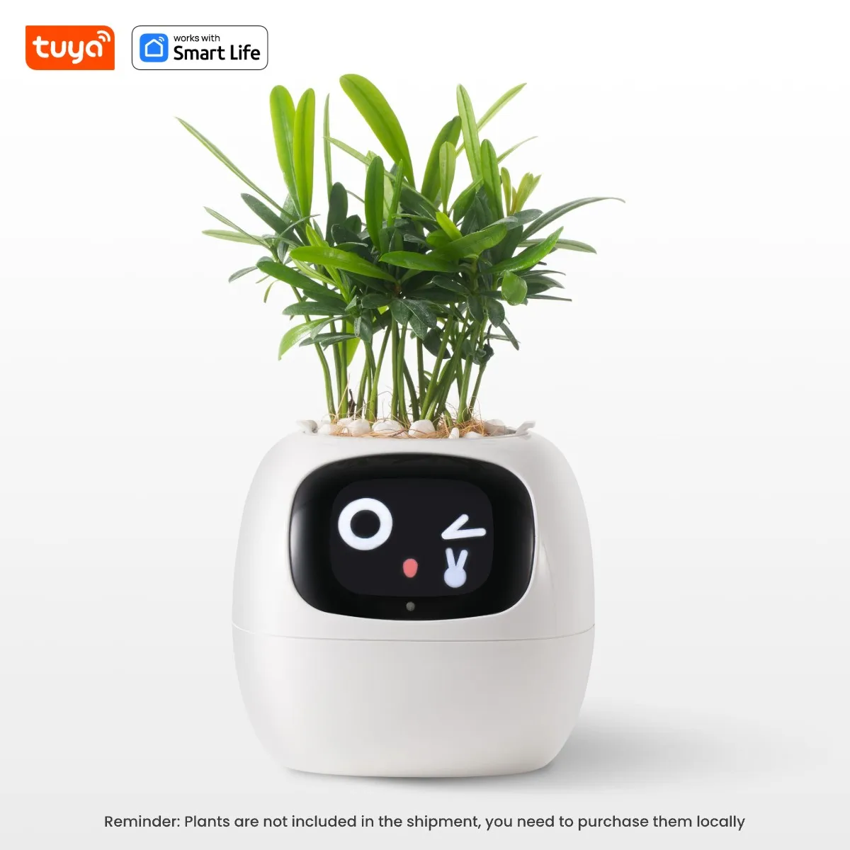 Smart Flower Pot