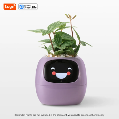 Smart Flower Pot