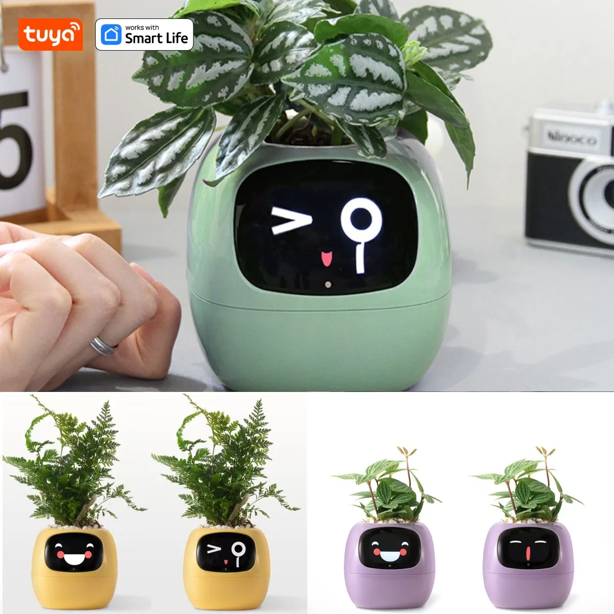 Smart Flower Pot